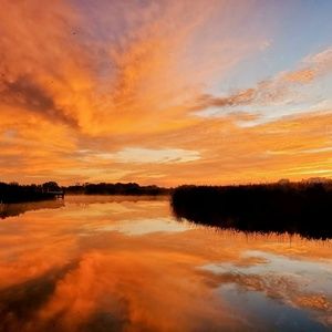 Meet your Posher, Pamela